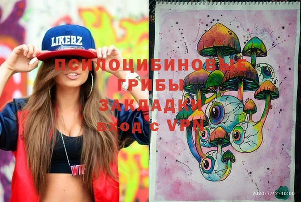индика Баксан