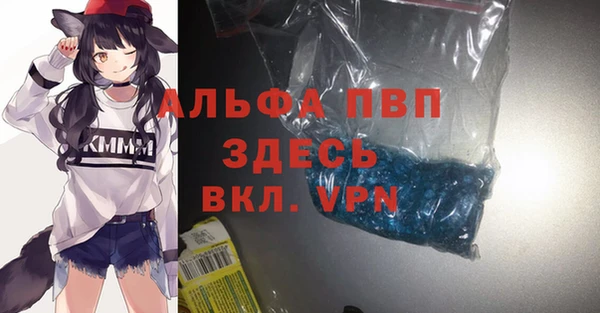 индика Баксан