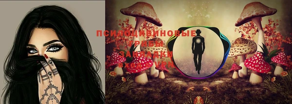 гидропоника Балахна