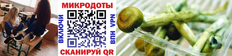 где найти наркотики  Барабинск  Псилоцибиновые грибы Psilocybe 