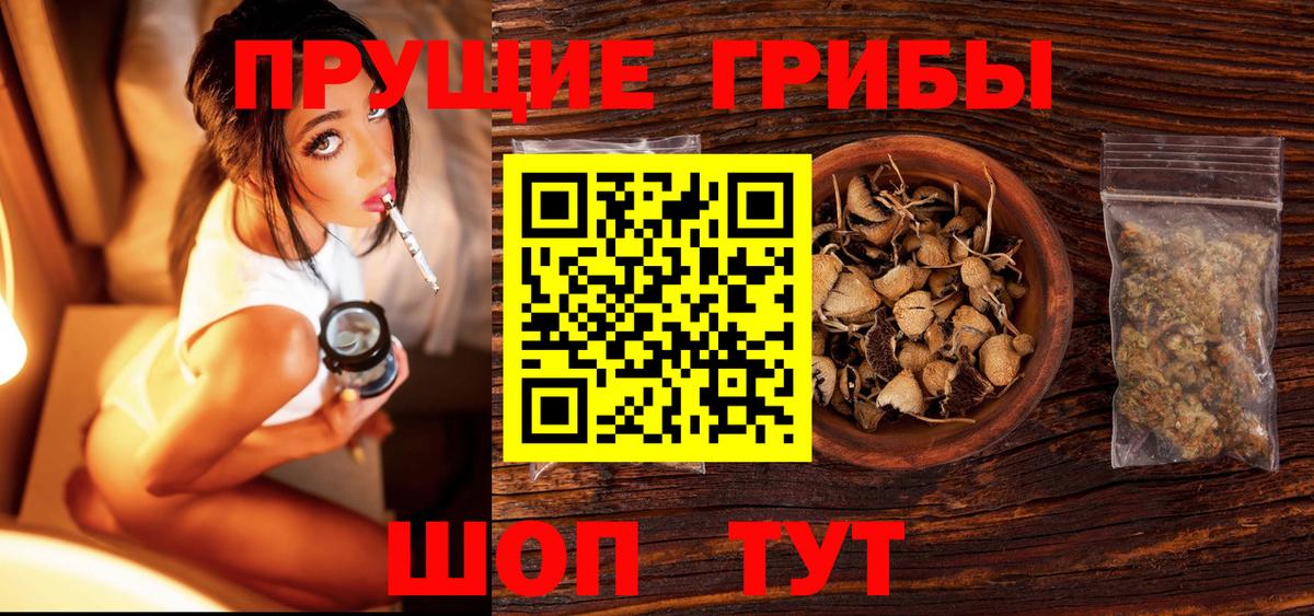 Галлюциногенные грибы Magic Shrooms  Галлюциногенные грибы Psilocybe  Барабинск  Вход с VPN 